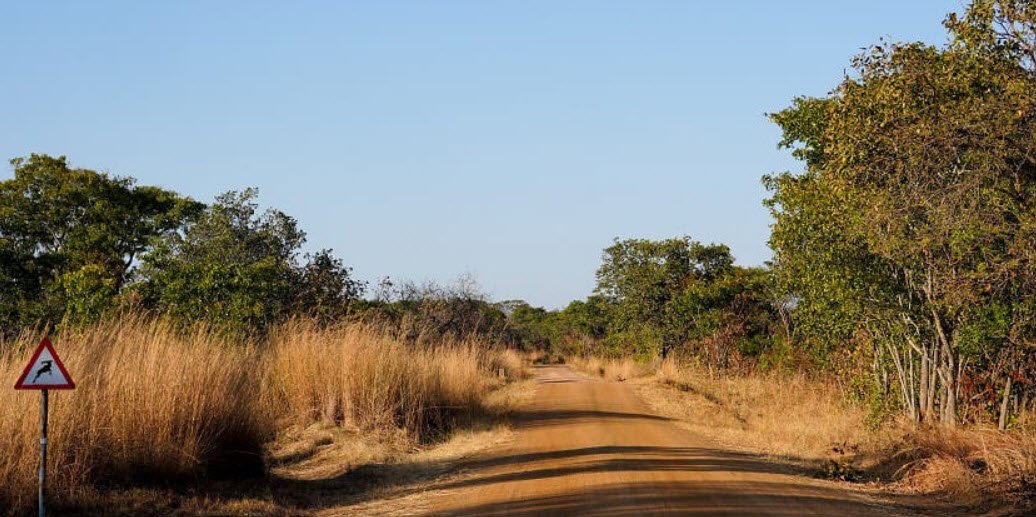Kafue National Park, Central, Western & Southern Provinces, Zambia